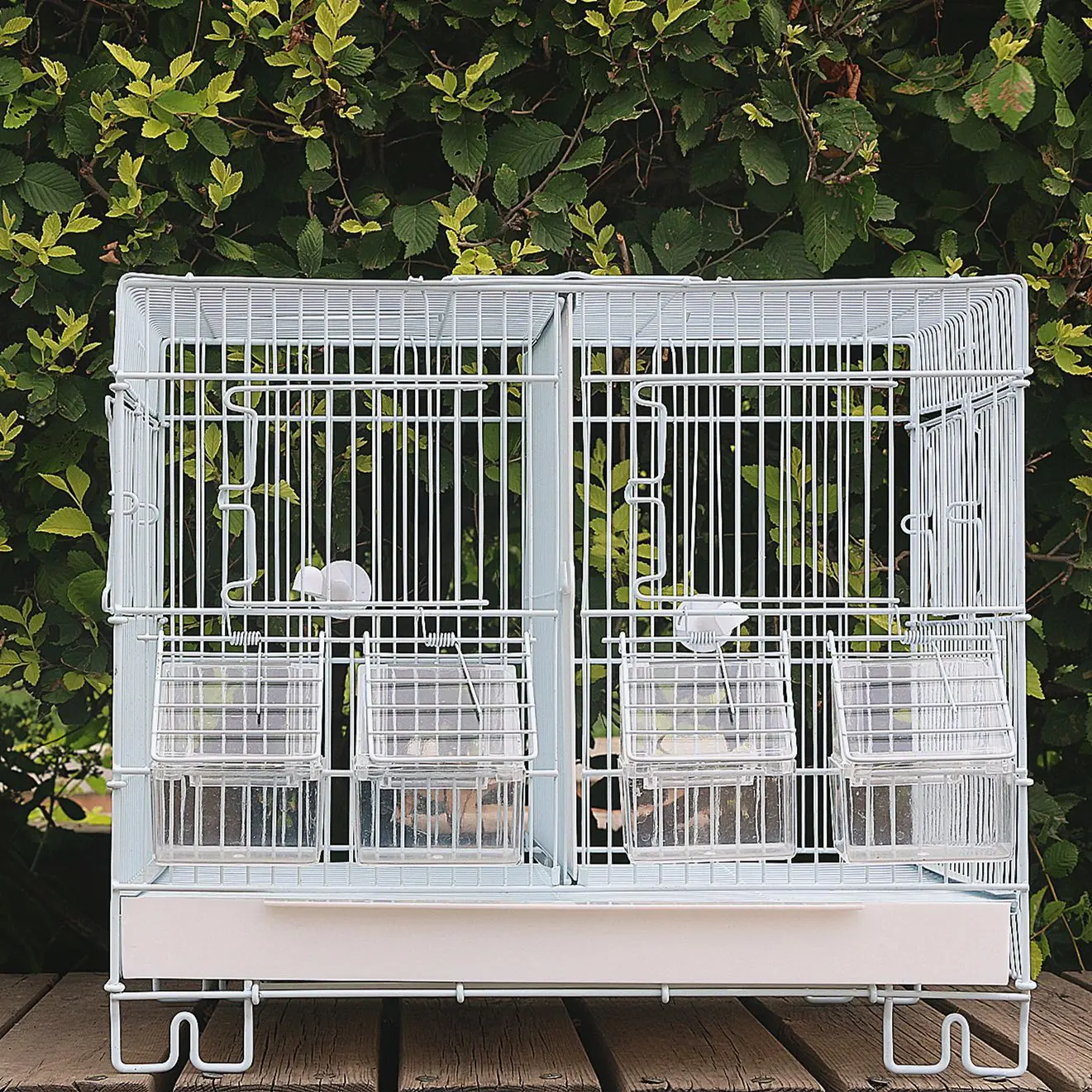 Partition breeding cage, stacked, canary hibiscus bird breeding cage wire