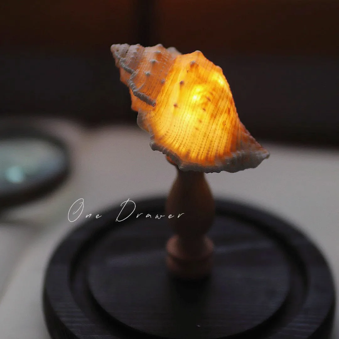 Shell Sea Urchin DIY Desk Ornament Handmade Night Light Ocean Lovers Gift Holiday Lamp Material Package Bedroom Bedside Light