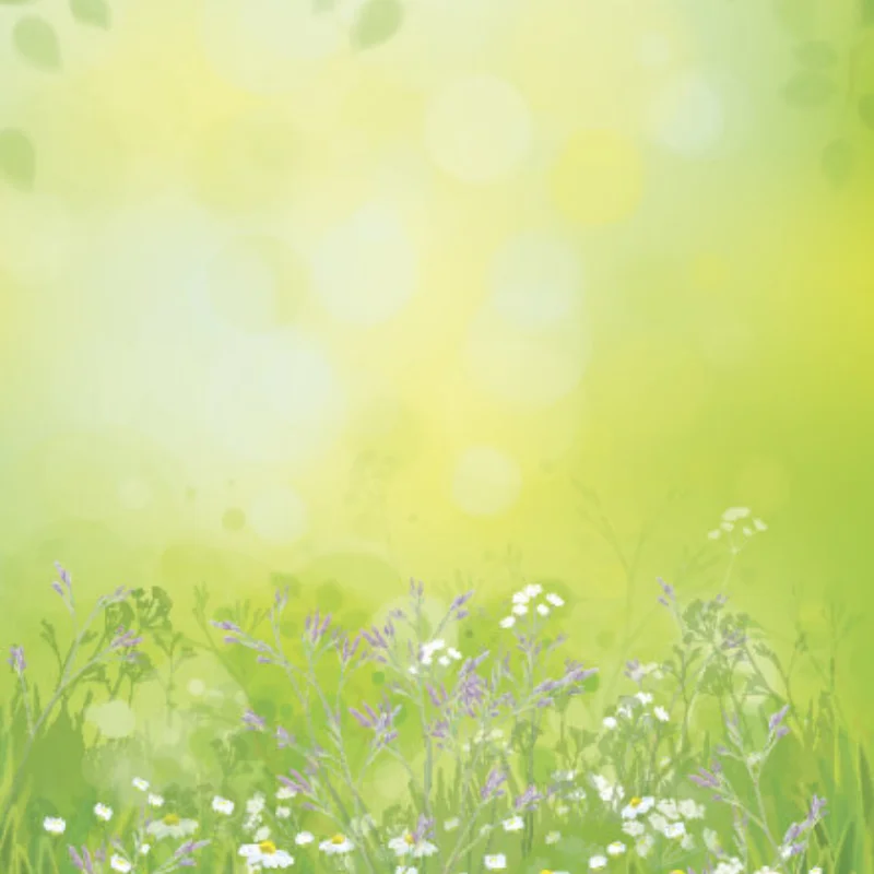 

Металлический сервопривод рулевой тяги 25T M2,5 для обновленных деталей 1/10 RC Crawler TRX4 TRX-4