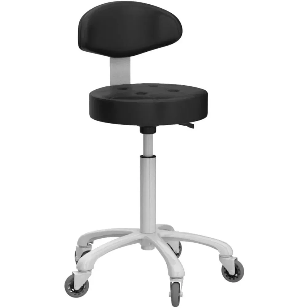 Swivel Stool Chair Adjustable Height,Heavy du Hydraulic Rolling Metal Stool for Salon,Bar,Massage (with back rest) (Black)