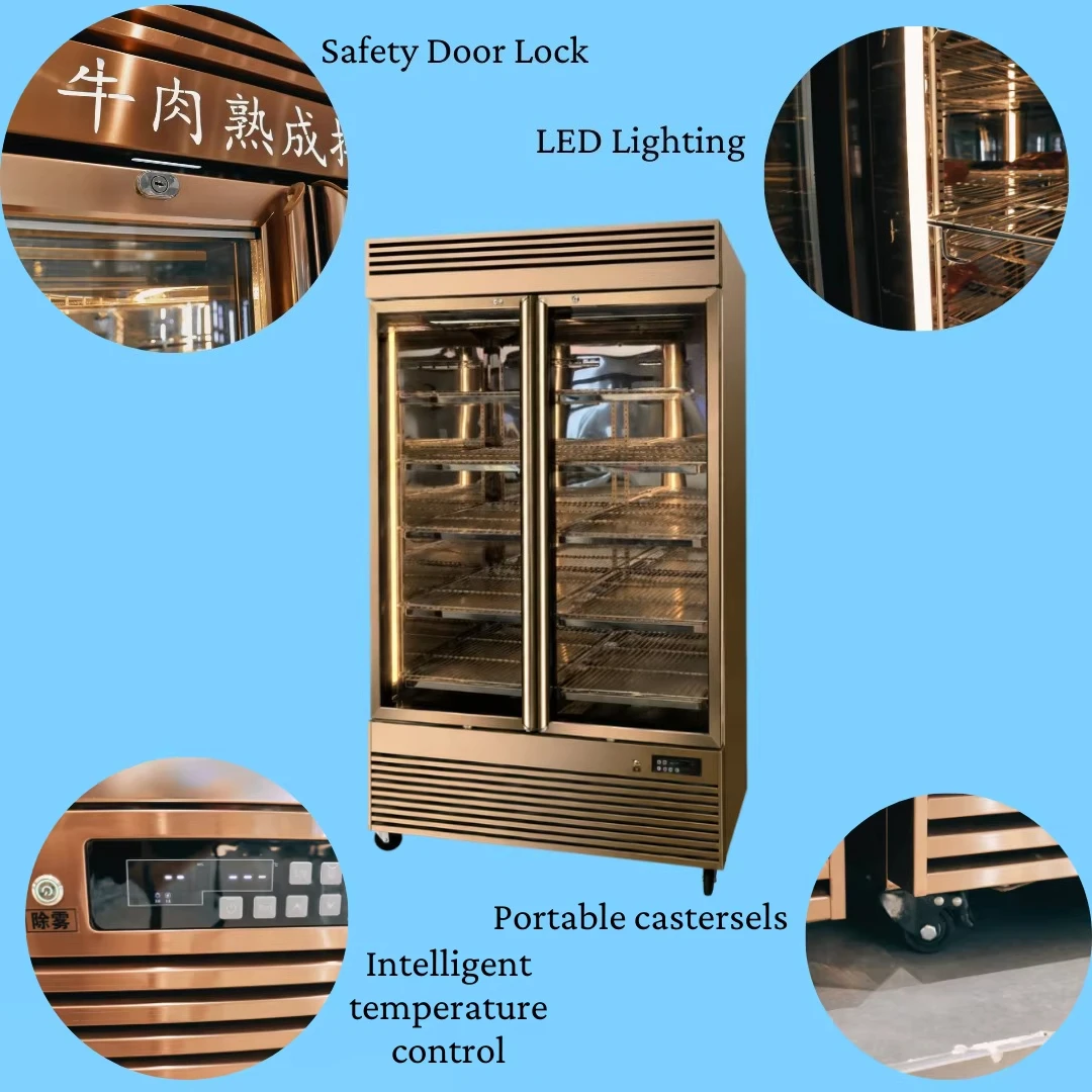 FOODLINE Wholesale Single Temperature Chiller Precise Cooling Control For Restaurant Supermarket Global Distributors
