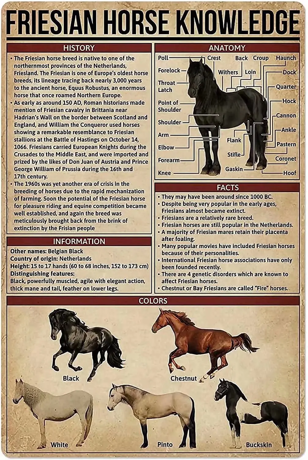 Letrero de estaño de Metal con conocimiento de caballos fríos, tablero de carteles de Metal para Bar, cafetería, granja, interesante decoración estética para sala de carreras