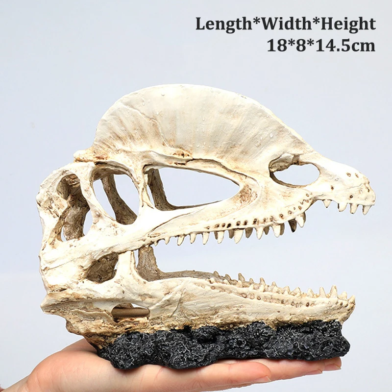 Resin Dinosaur Skull Artificial Ornament Fish Tank Aquarium Decorations Cave Landscape Pet Reptile House Aquarium Home Decor