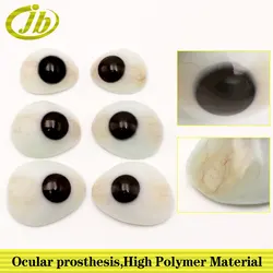 Ocular prosthesis single-deck large double-deck ophthalmic instruments artificial eye ocular prosthesis  mock button hole