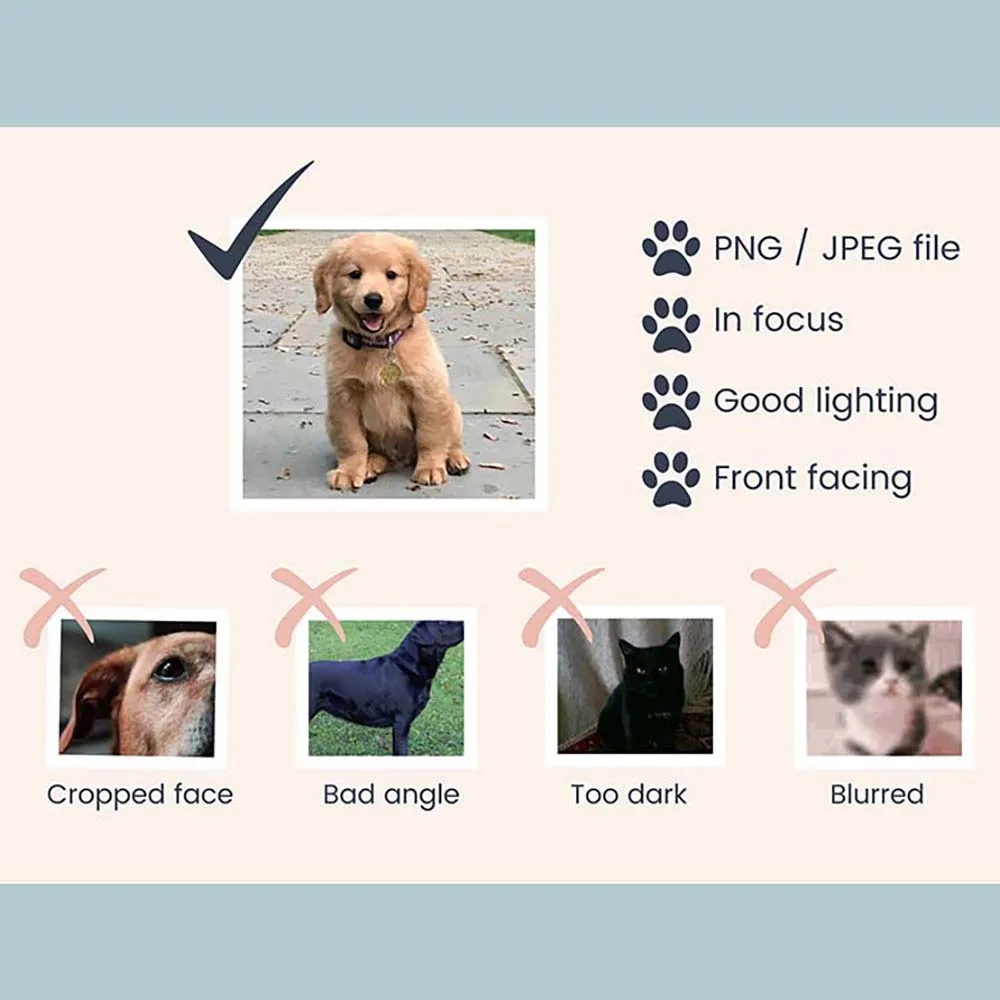 تخصيص ثلاثية الأبعاد الحيوانات الأليفة القط/الكلب اسم الصورة وسادة مقعد ، وسادة رمي مخصصة ، وسادة الحيوانات شخصية ، هدية تذكارية لخسارة الحيوانات الأليفة