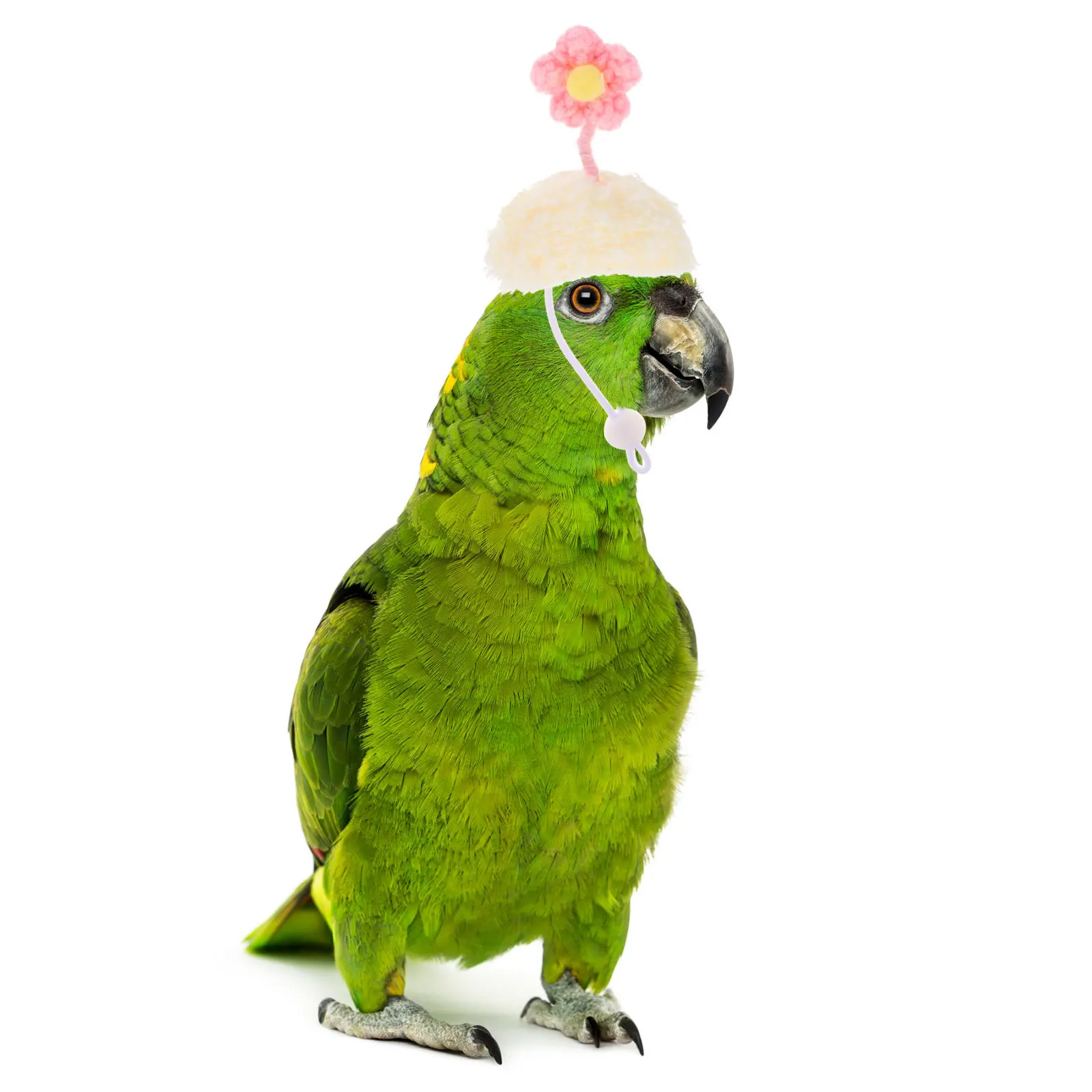 

Small Pet Hat Knitted Hamster Headwear For Guinea Pig Squirrel Chinchilla Costume Supply Party Photo Prop Pet Accessories