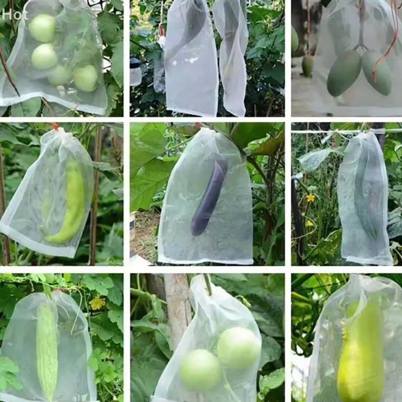 

Nylon Mesh Bag Fruit Insect Bag Bird Bag Rice Soaking Bag Seed Bag Breeding Bag Yarn Mesh Bag Bagging