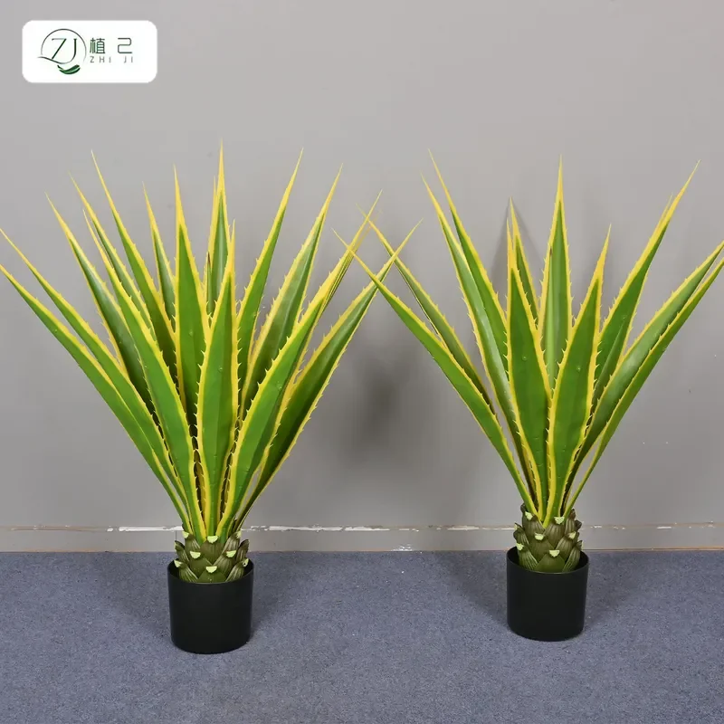 Artificial Yellow Edge Iron Crown Orchid Sisal Tiger Pilan Potted Plant Indoor Home Greenery Landscaping Money Leaf