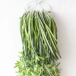 5 Heads Chlorophytum Green Plants 65cm Artificial Plants Wall Hanging Simulation Leaves Home Garden Decor