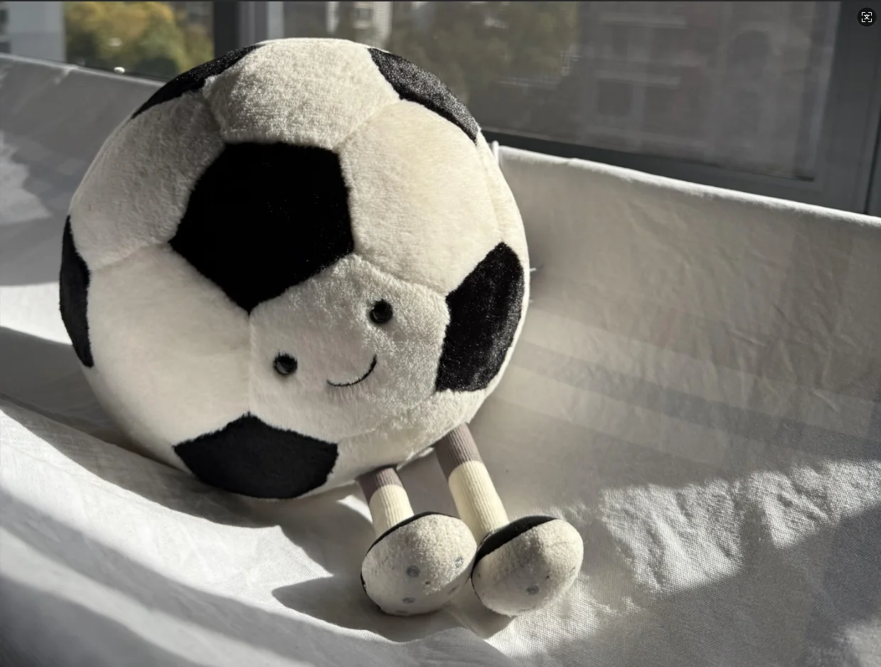 25cm jc Simulation Soccer Basketball Doll Plush Toy Handmade Doll Cartoon Anime Cute Pillow Cushion Home Decoration Children image 3