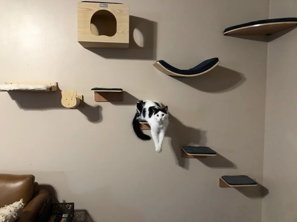 Wall Mounted Cat Nest Cat Bed Cat House or Scratching Post for Kitten Perch Rest and Grinding Claws Cat Indoor Furniture