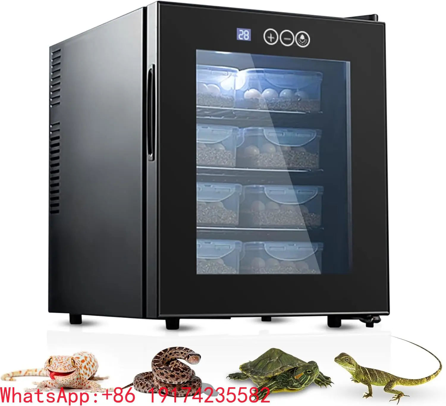 48L/12.7 Gallon Laboratory Egg Incubator Precise Temperature Control for Hatching Chicken Duck Eggs Cooling Heating