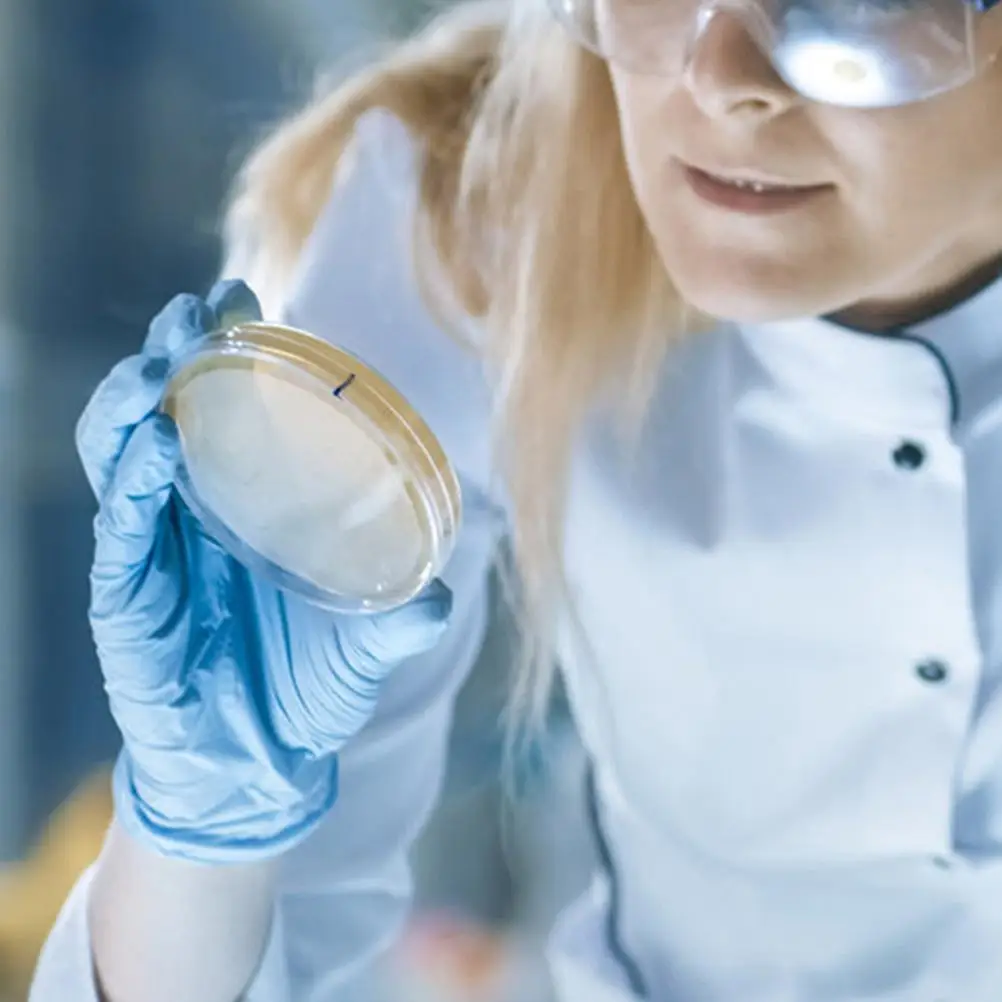 20 Pcs Cover Nutrient Agar Plate Child Pre Made for Science Cubes Laboratory Culture Dish