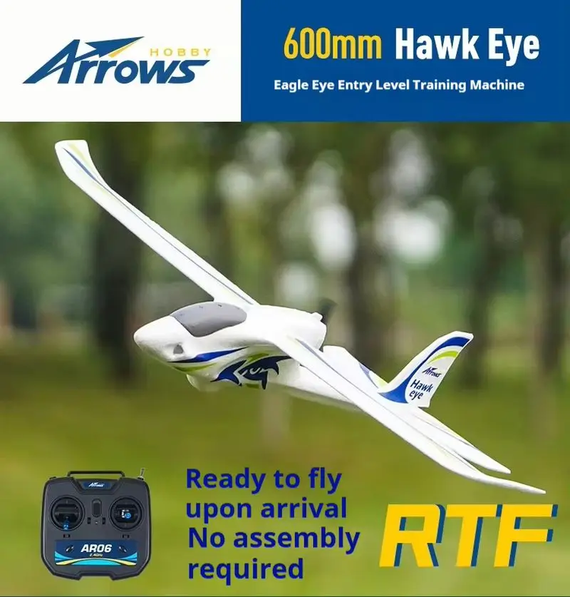 Blue Arrow RC Model 600mm Eagle Eye Beginner Back-Propulsion Entry Fixed-Wing Remote-Control Electric Model for Beginners
