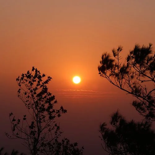 

14.6inch LED Screen Android 13 For Toyota Tundra 2015-2019 GPS Navigation Stereo CarPlay Car Radio Multimedia Video Player