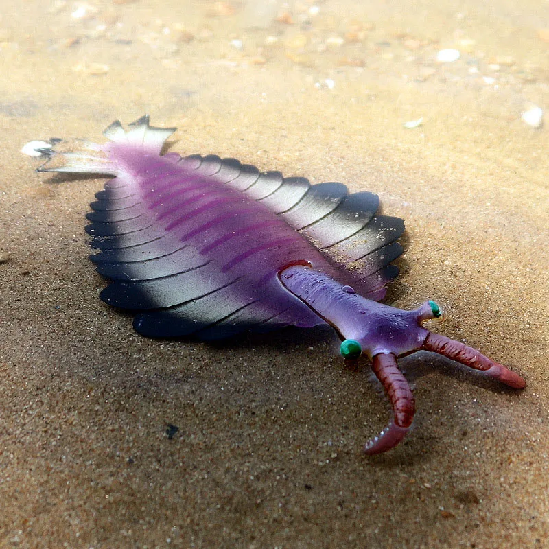 Mô Phỏng Thời Tiền Sử Động Vật Biển Opabinia Trơn Tôm Hùm Anomalocaris Nhân Vật Hành Động Dương Tượng Hình Giáo Dục Đồ Chơi Quà Tặng