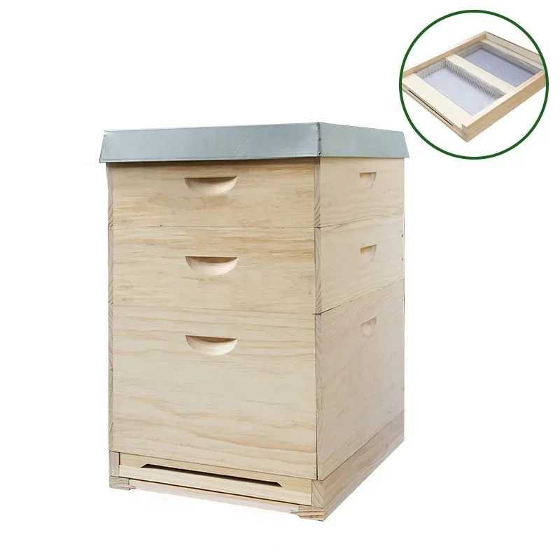 Factory Supply Beekeeping Supplies Dadant Langstroth Honey Bee Hive Box Wooden Beehive