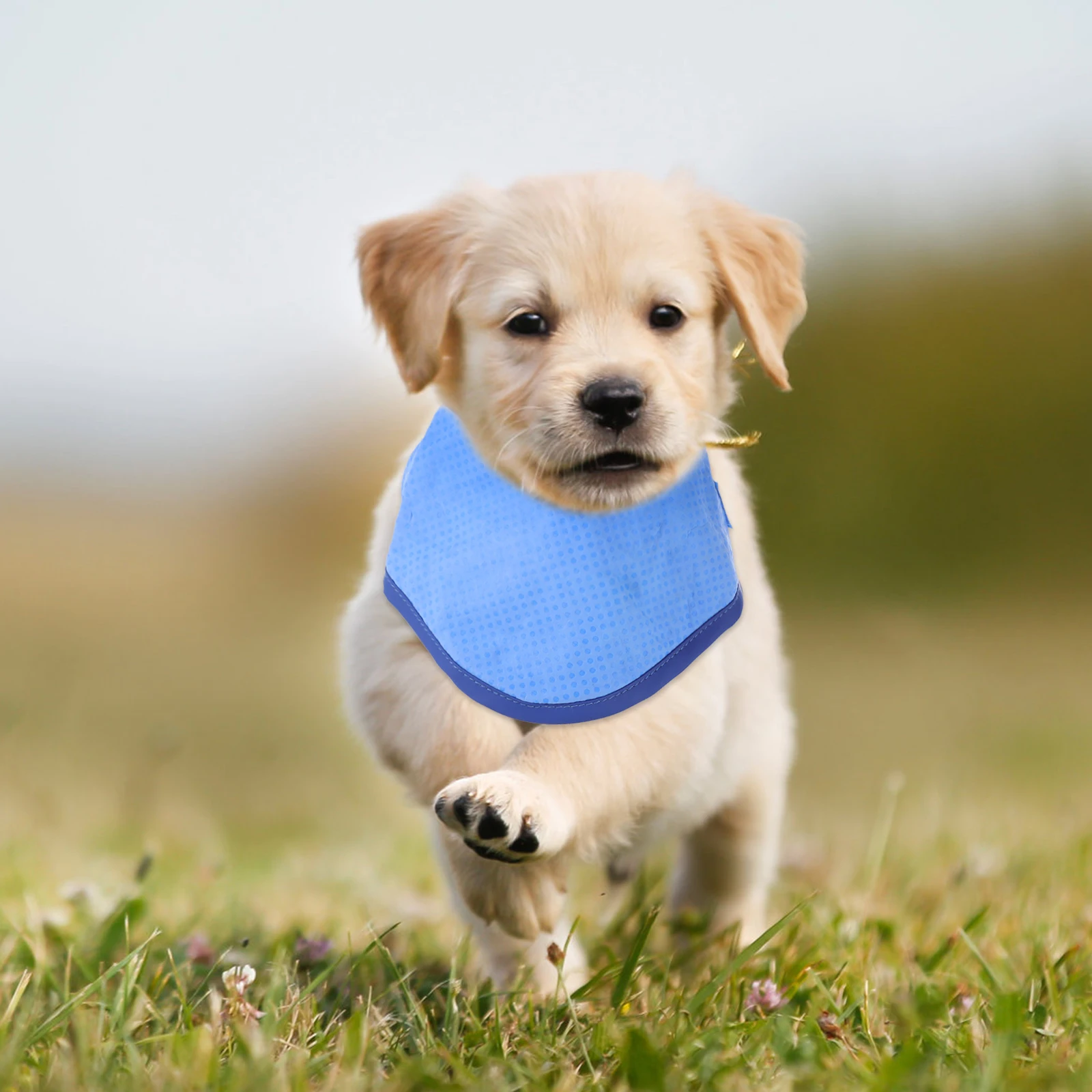 

Cooling B Breathable Scarf Puppy Collars Dog Neckerchief Summer Pet Decor Blue Small Cooler Fish Tank Adjustable Comfortable