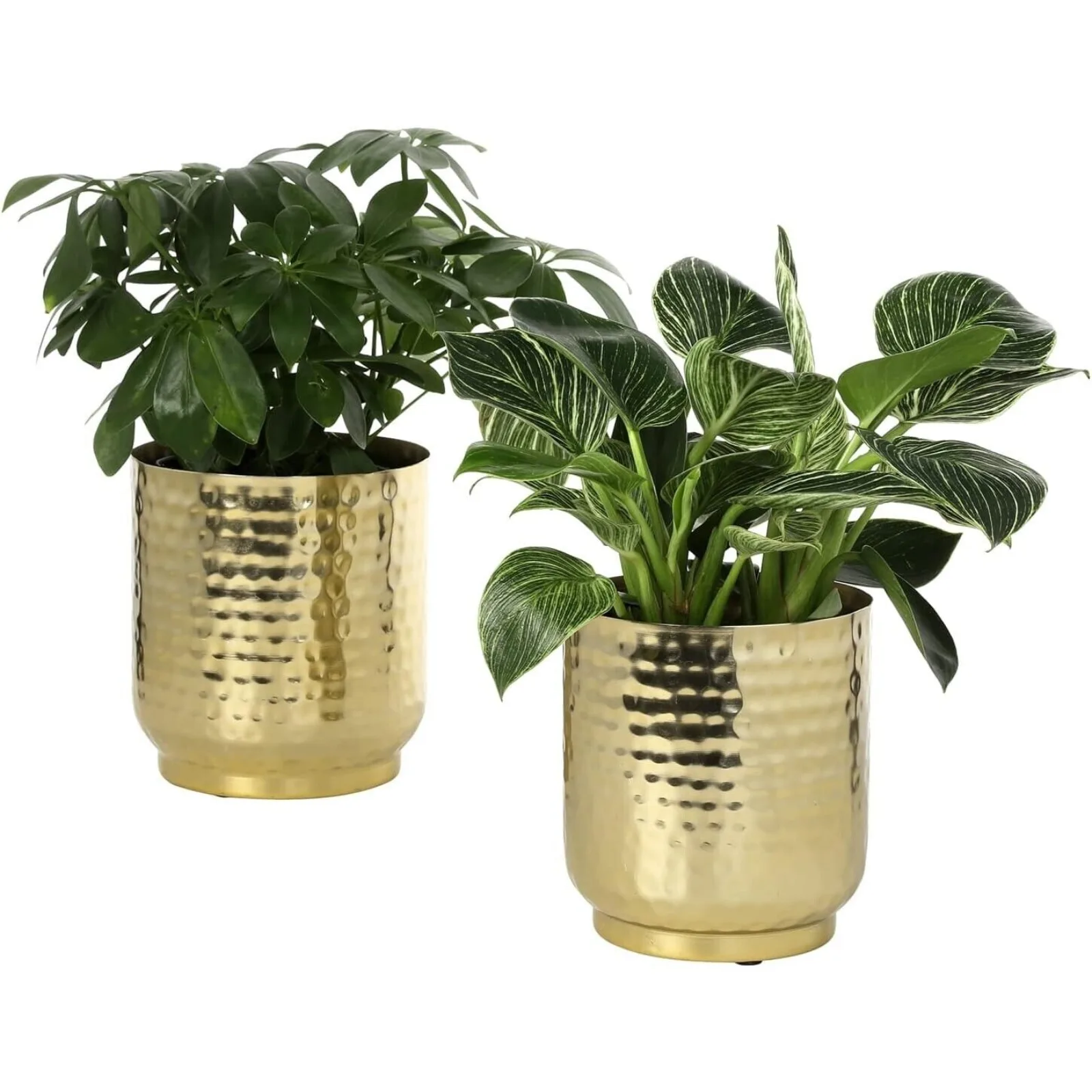 Brass-Tone Metal Planter Pot Indoor Plant Container, Succulent Planter, Set of 2 United States