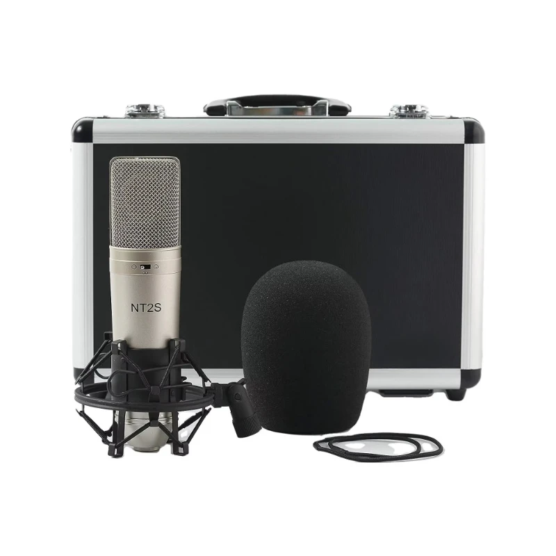 Miniature studio recording microphones, singing, audio and life program speakers Professional condenser microphones