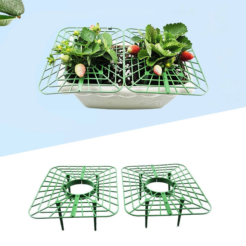 Strawberry Stand Square Tray Stand Anti-fall Potted Fruit Garden Support Stand