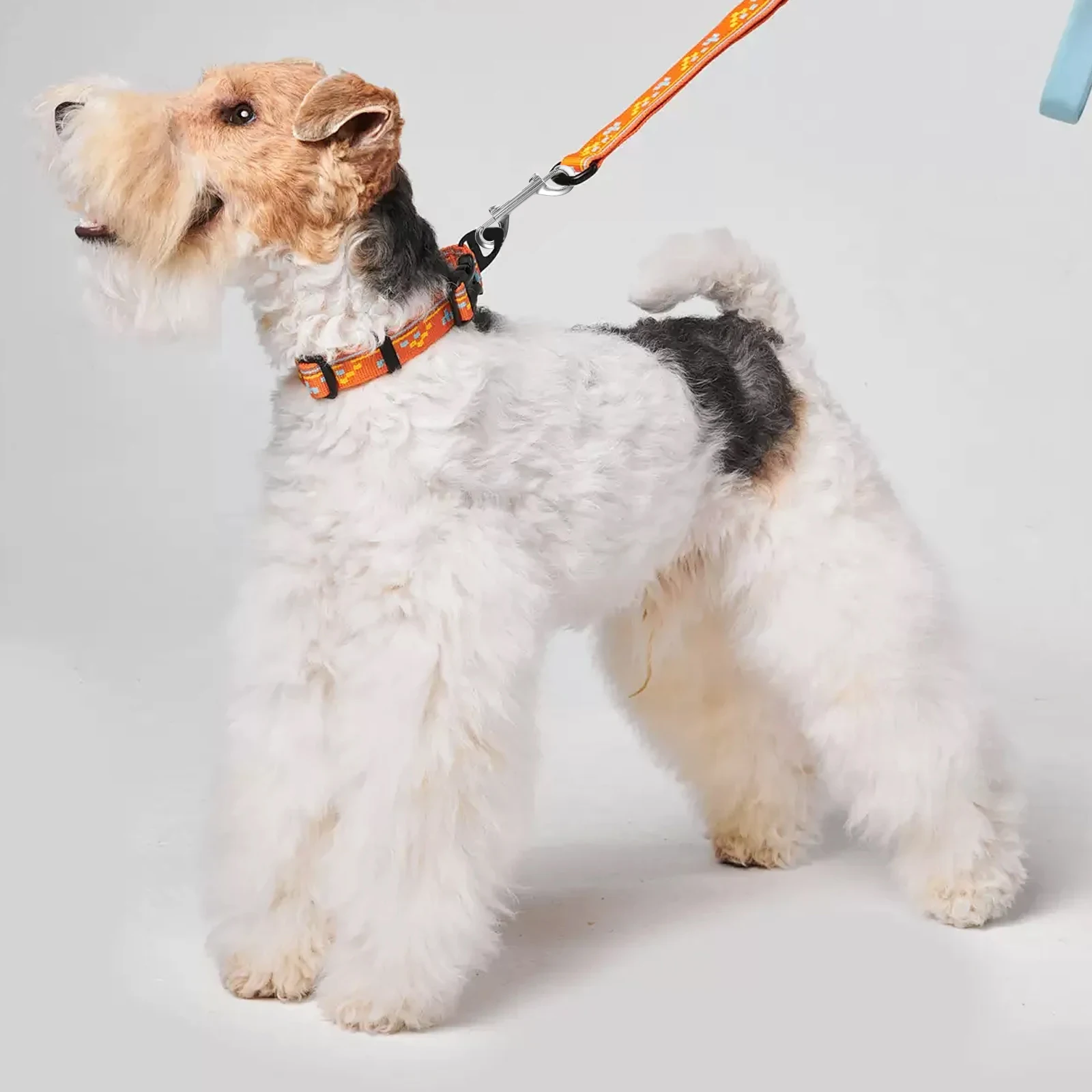 

2 Pcs Dog Collar Clasp Metal Buckle Hardware Hook Clip Alloy Side Release Double Bolt Snaps Button Quick