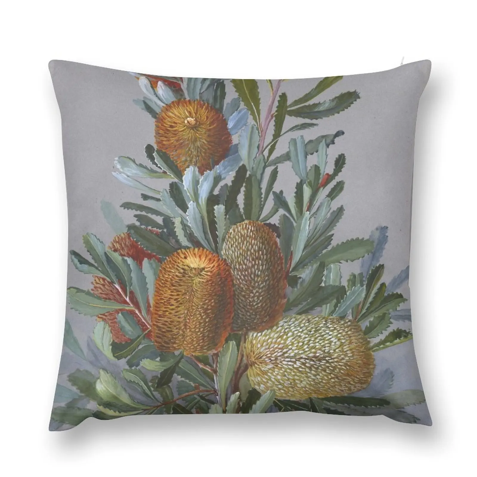 Banksia Australian Wildflower Watercolor Throw Pillow Decorative pillow case Sofas Covers Decorative Sofa Cushions pillow