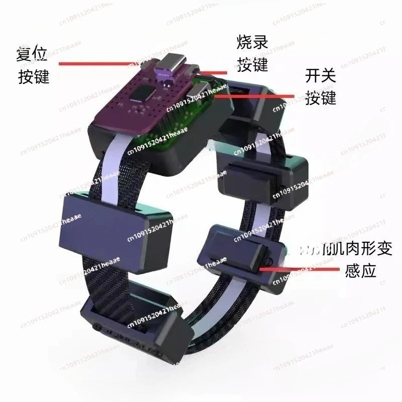 Suitable for  Bracelet Collection and Detection Module Wearable ArmbandMuscle Electrical Sensor