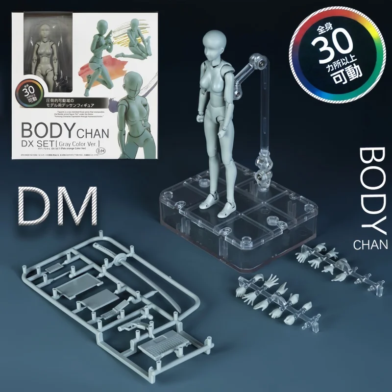 16cm Shfiguarts Body Kun Dx Set Figure Sketch Draw Male Female Action Figure Movable Body Model  Draw Mannequin Model Toy Gift