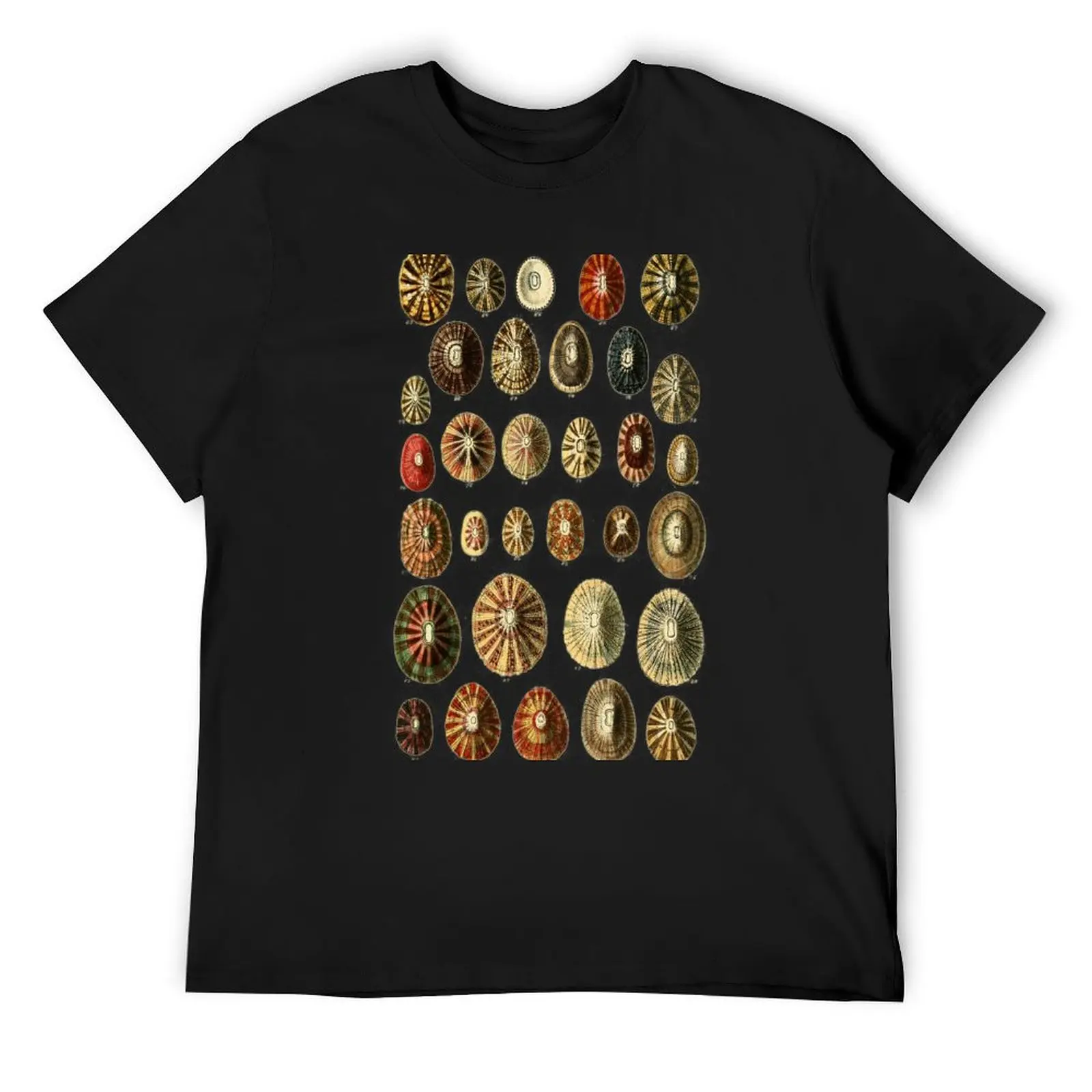 

Limpet Shells Vintage Antique Scientific Natural History Illustration T-Shirt anime tshirt summer top mens tall t shirts