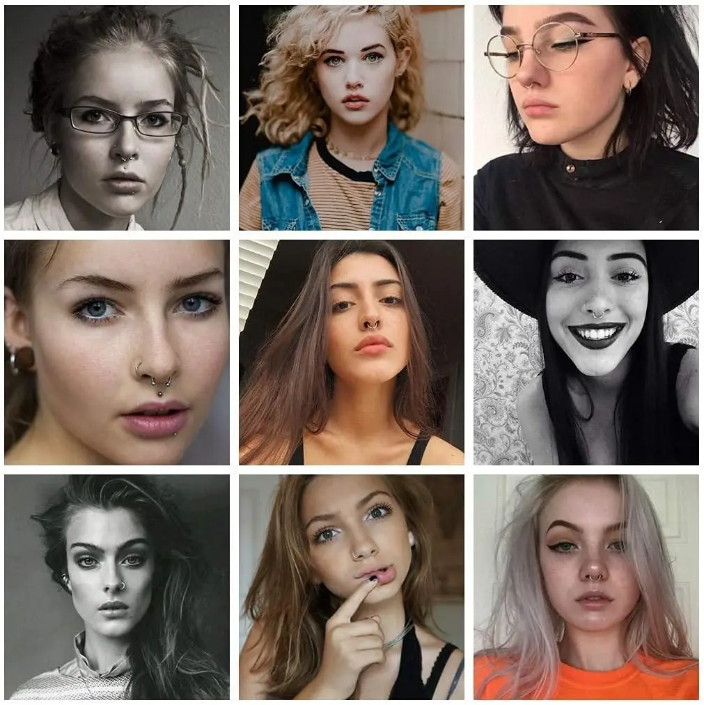 2025 Nuevo estilo falso anillo de la nariz de acero inoxidable sin perforación falso anillo de la nariz de las señoras de perforación falsa Joyería 1-5pcs