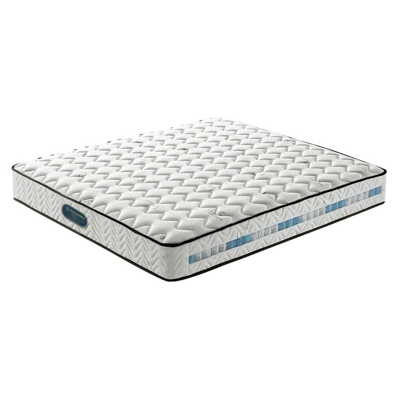 Hotel B & B Independent Spring Mattress Latex Home, Natural Jute Simmons Mattress