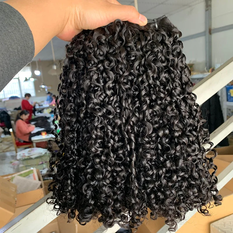 

3B3C Burmese Pixie Curly Hair Bundles Virgin Human Hair Burmese Vietnamese Raw Human Hair Extensions Wholesale For Full Head 18A