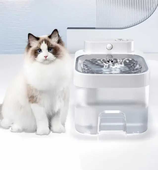 Premium 2L Cat Water Dispenser with Automatic Circulating Filter Factory Outlet for Pet Owners Indoor Outdoor Use Fast Shipping