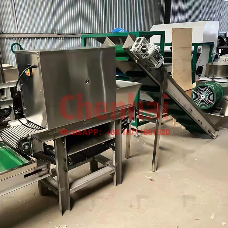 Fully Automatic Garlic Processing Line Garlic Clove Separator Machine Garlic Cleaning Machine