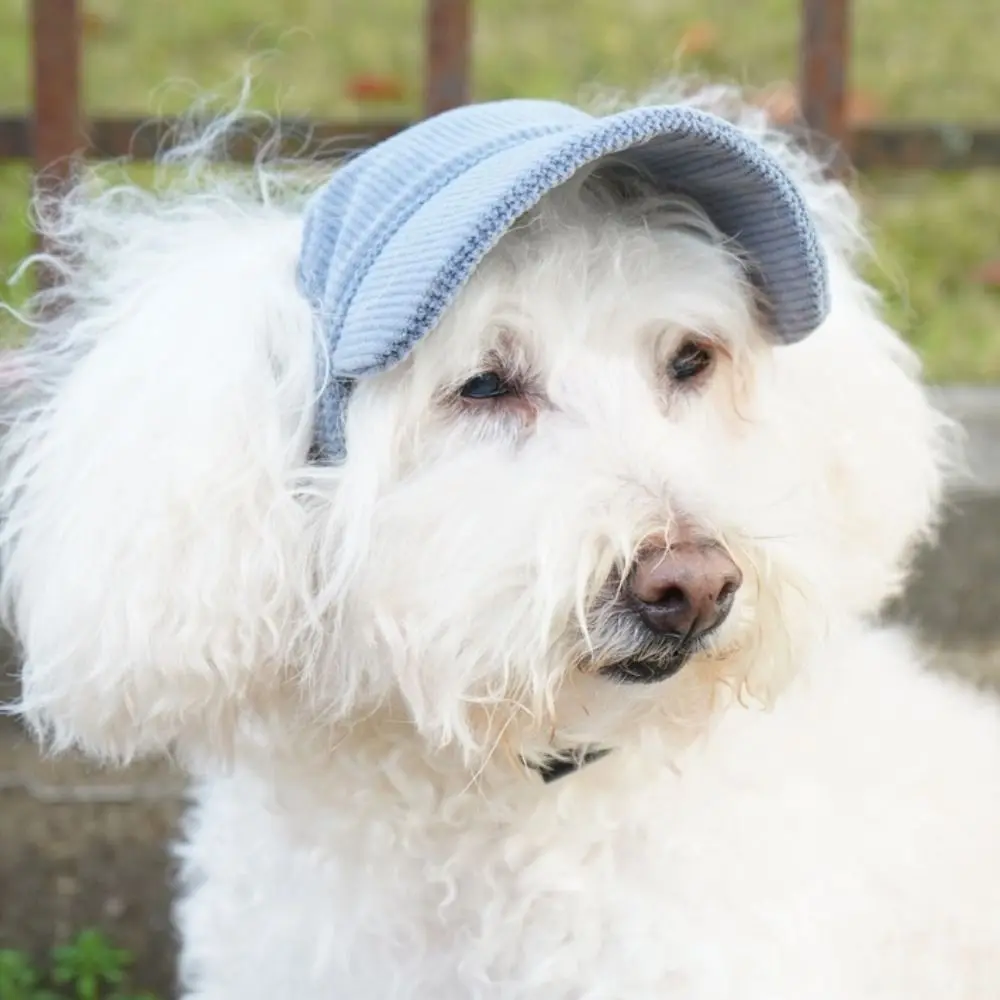 

Pet Accessories Adjustable Dog Baseball Cap Breathable Soft Pet Sun Hat with Ear Holes Cat Sunscreen Hat Travel