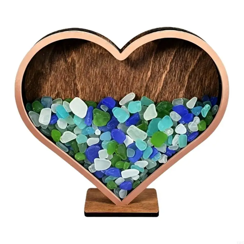 Heart Seashells Display Box with Clear Acrylic Front Seashells Holders for Shark Teeth Small Shadows Box X3UC