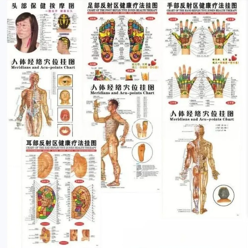 7pcs/set Acupuncture Massage Point Map Chinese&English Meridian Acupressure Points Posters Chart Wall Map for Medical Teaching