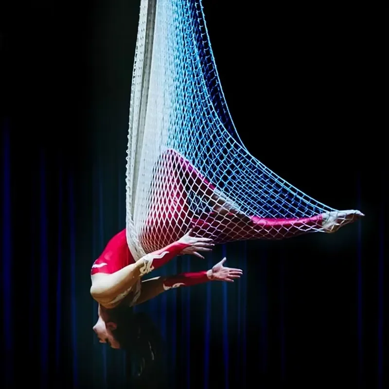 Anti Gravity Yoga Hammock Diamond Braided Fabric Aerial Yoga Swing with Hiking Buckle Strap for Pilates Fitness Studio Home