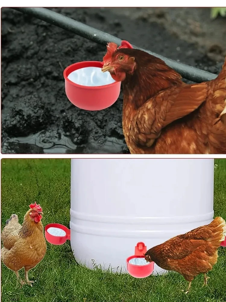 

Chicken Drinking Cup Automatic Drinker Chicken Feeder Plastic Poultry Waterer Drinking Water Feeder for Chicks Duck Goose Quail