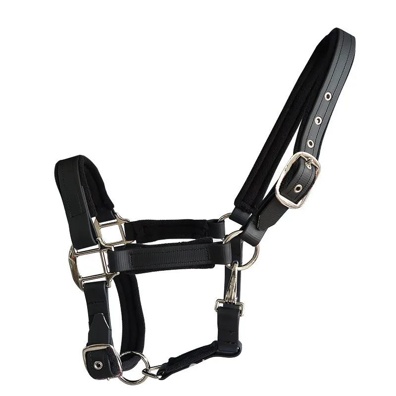 

25MM 1" Wide PVC Horse Halter With Eyelet With Polar Fleece Cushion Nickle Plated Metal Fittings