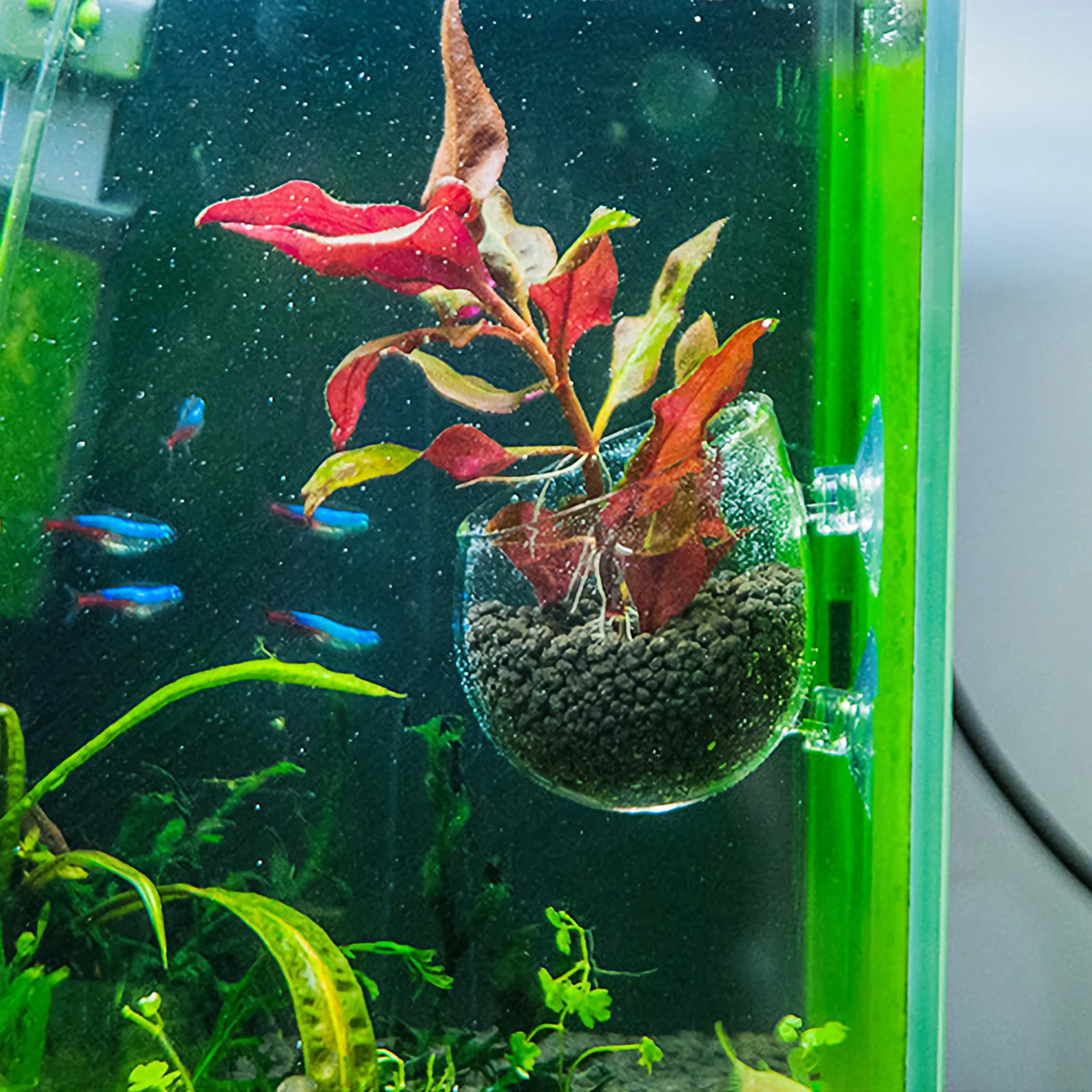 

Glass Aquatic Plant Pot Premium Crystal Material Strong Suction Fixation for Shrimp Tanks Planted Aquarium Decor Water Plant