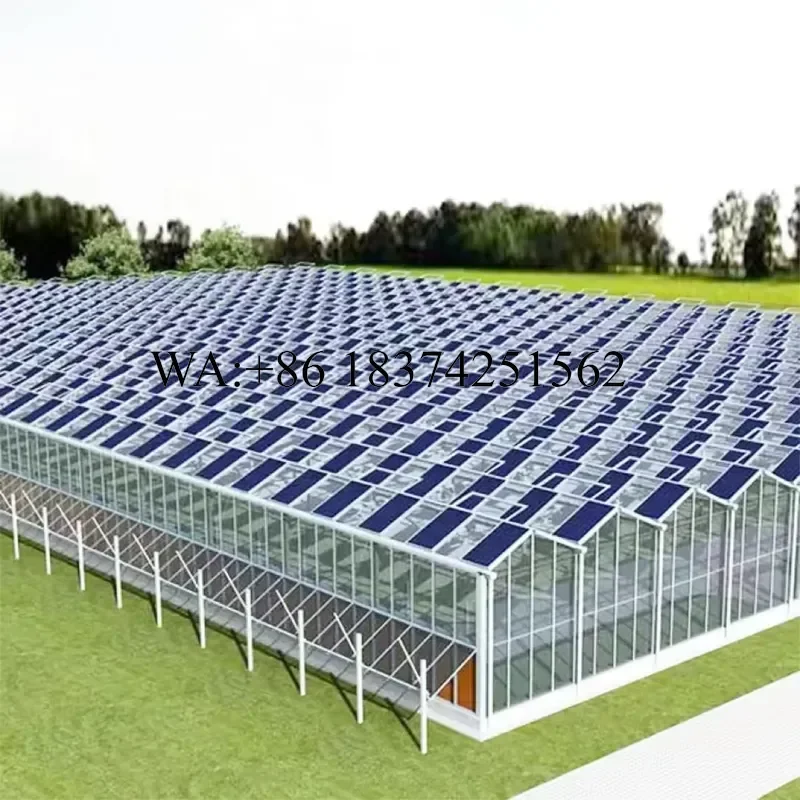 Wmwmnu Smart Agricultural Cost Effective Multi Span Solar Panel Photovoltaic Panel Glass Greenhouse
