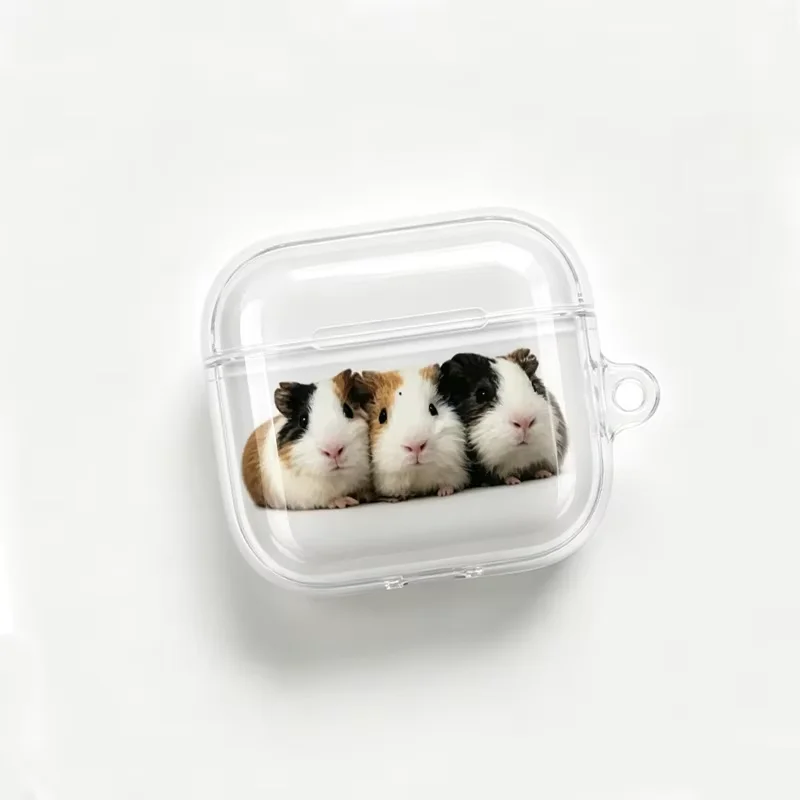 Kawaii guinea Pig Clear Soft TPU Earphone Case For Airpods 1 2 3 4 Pro Pro2 Pro3 Shockproof with Hook Accessories Airpods Cover - view 4