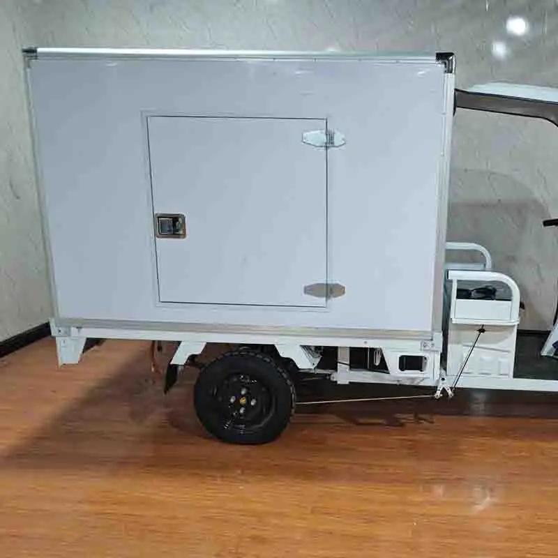 New Design Closed Carriage Tricycle Electric Avec Cabine Van Cargo Tricycle Electric Tricycle with Freezer