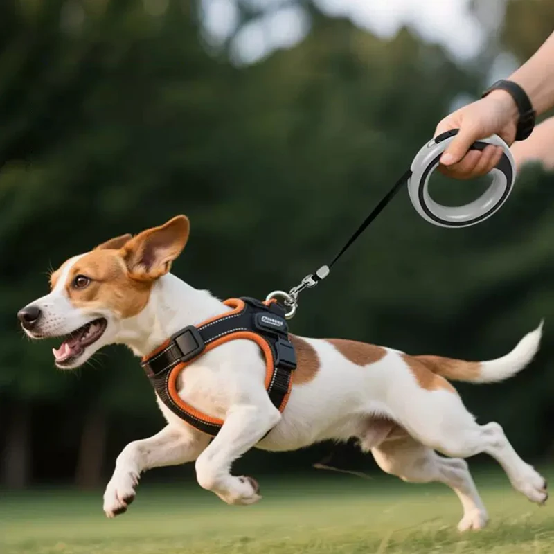 #20 Budget Retractable Puppy Leads for Smart Shoppers