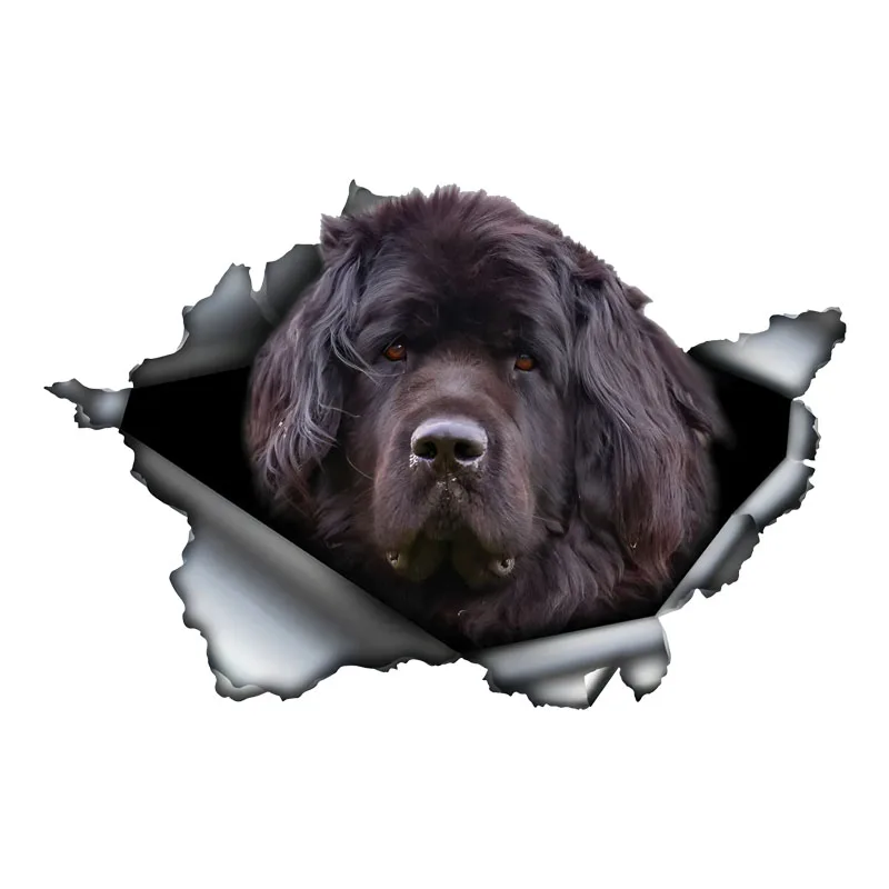DK579# 3D Black Newfie Car Sticker, Fun Waterproof Sticker for Cars, Trucks, Motorcycles, Walls, Windows, PVC Material