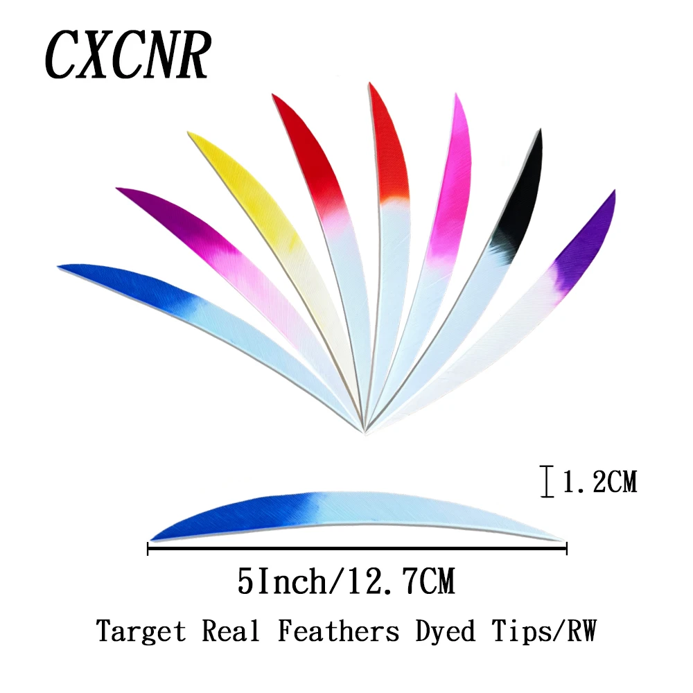 

25Pcs 5Inch Target Real Feathers Dyed Tips RW Turkey Feather Arrow Fletchings for Recurve Bow Compound Bow Traditional Bow