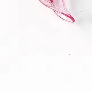 5Pcs C-Shaped Dental Cheek Retractors Mouth Opener S/M/L Size Teeth Treatment Mouth Opener Autoclavable Resistant Dentist Tool