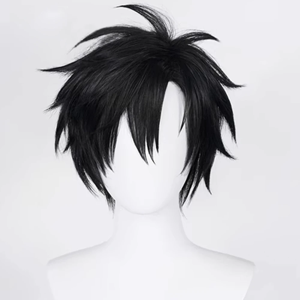 VICWIG Synthetic Black Short Straight Wig Men and Women Anime Cosplay Nature Fluffy Hair Wig for Daily Party